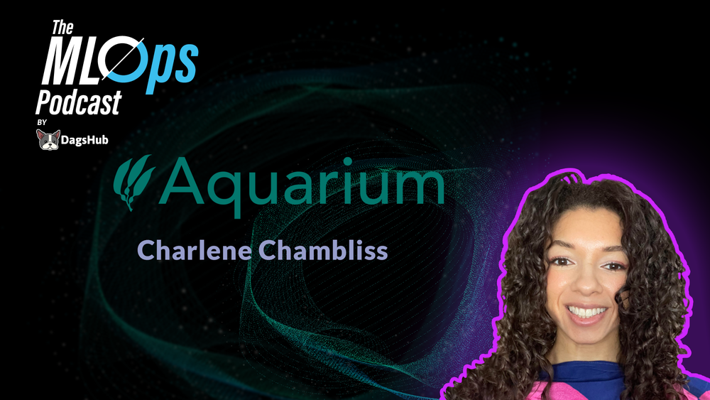 NLP系统的MLOps与Charlene Chambliss