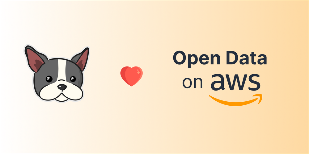 来自AWS Data Registry的400个数据集在DagsHub上可用